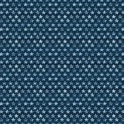 Adventure Awaits by Blank Quilting SMALL STARS/NAVY
