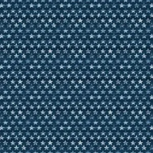 Adventure Awaits by Blank Quilting SMALL STARS/NAVY