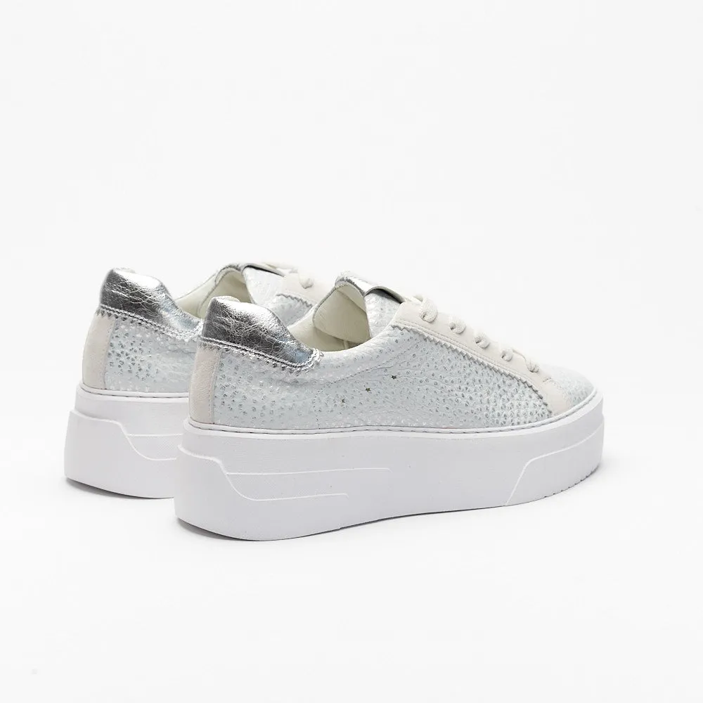 Bianca Sneaker in Silver/Ice