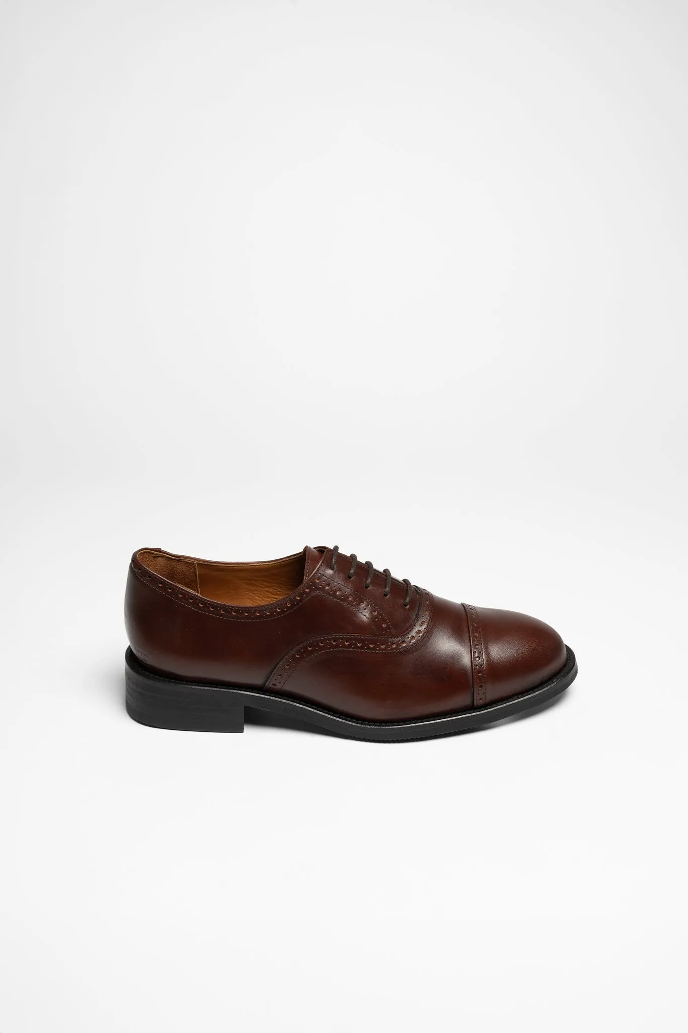 HARRY Walnut