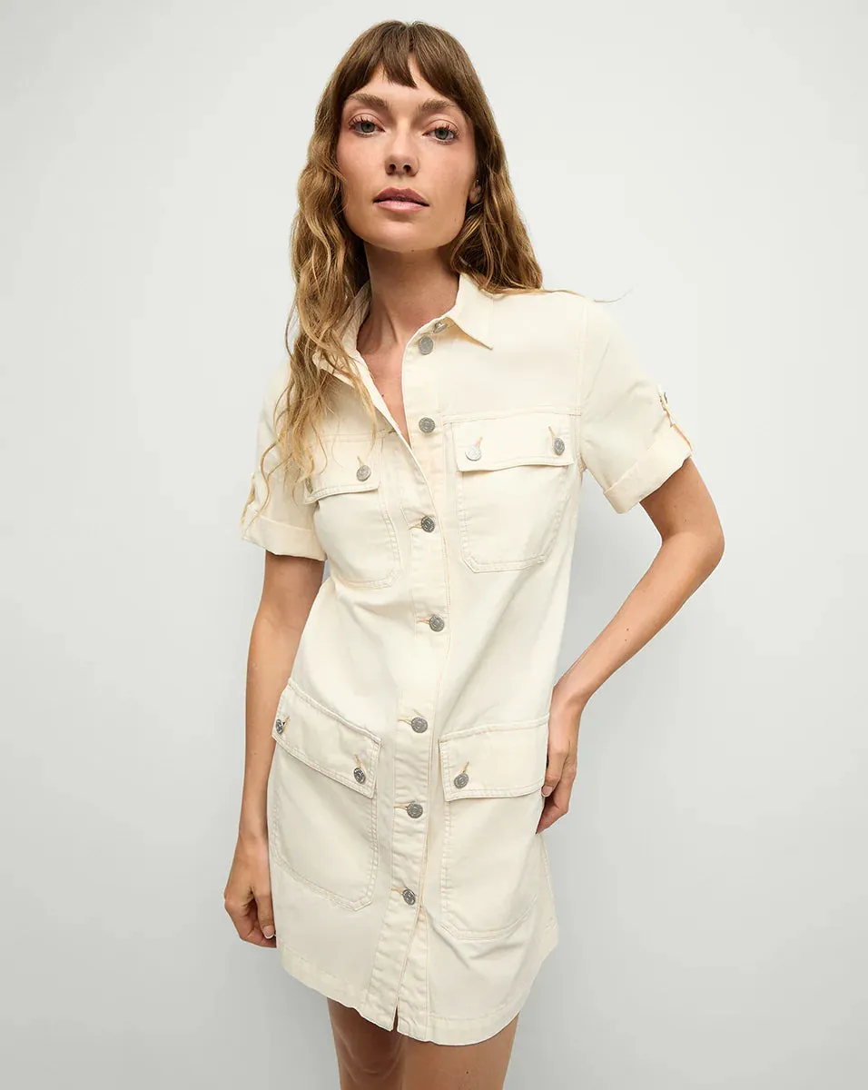VERONICA BERAD WARREN MINI DRESS