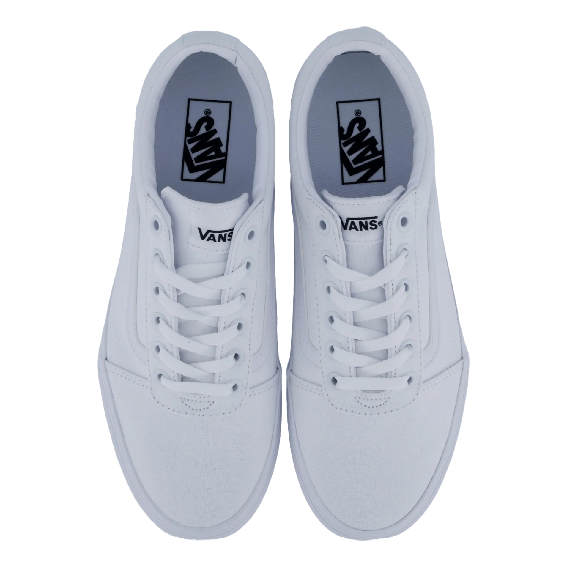 Wm Ward (triple White) White